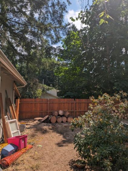 Gig Harbor Ponderosa Pine Tree Removal